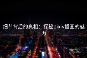 细节背后的真相：探秘pixiv插画的魅力