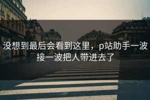 没想到最后会看到这里，p站助手一波接一波把人带进去了