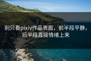 别只看pixiv作品表面，前半段平静，后半段直接情绪上来