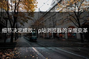 细节决定成败：p站浏览器的深度变革
