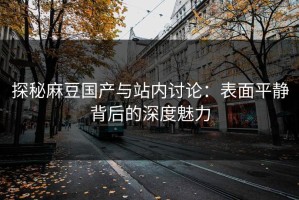探秘麻豆国产与站内讨论：表面平静背后的深度魅力