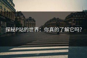 探秘P站的世界：你真的了解它吗？