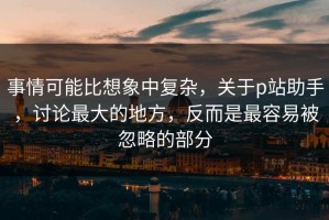 事情可能比想象中复杂，关于p站助手，讨论最大的地方，反而是最容易被忽略的部分