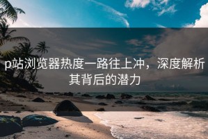 p站浏览器热度一路往上冲，深度解析其背后的潜力