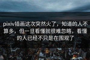 pixiv插画这次突然火了，知道的人不算多，但一旦看懂就很难忽略，看懂的人已经不只是在围观了
