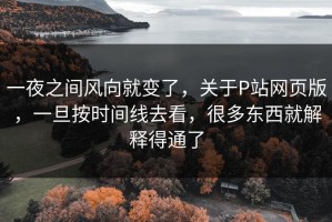 一夜之间风向就变了，关于P站网页版，一旦按时间线去看，很多东西就解释得通了