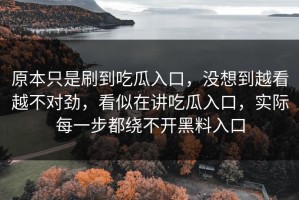 原本只是刷到吃瓜入口，没想到越看越不对劲，看似在讲吃瓜入口，实际每一步都绕不开黑料入口