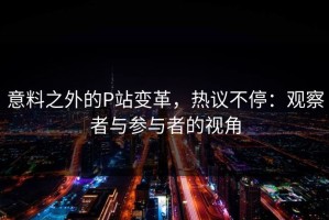 意料之外的P站变革，热议不停：观察者与参与者的视角