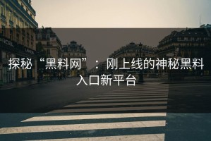 探秘“黑料网”：刚上线的神秘黑料入口新平台