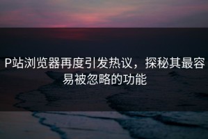 P站浏览器再度引发热议，探秘其最容易被忽略的功能