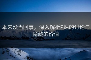 本来没当回事，深入解析P站的讨论与隐藏的价值