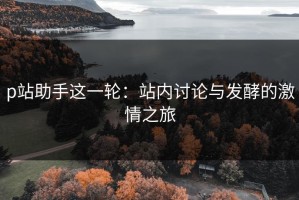 p站助手这一轮：站内讨论与发酵的激情之旅