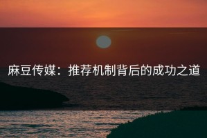 麻豆传媒：推荐机制背后的成功之道