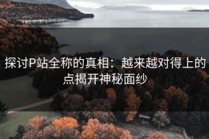 探讨P站全称的真相：越来越对得上的点揭开神秘面纱