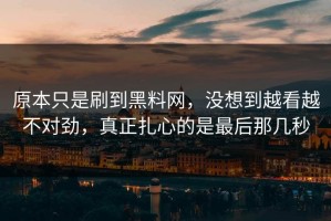 原本只是刷到黑料网，没想到越看越不对劲，真正扎心的是最后那几秒