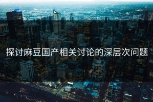探讨麻豆国产相关讨论的深层次问题
