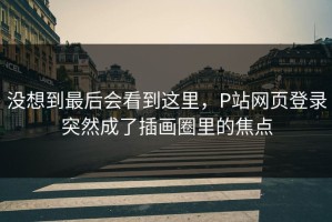 没想到最后会看到这里，P站网页登录突然成了插画圈里的焦点