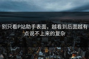 别只看P站助手表面，越看到后面越有点说不上来的复杂