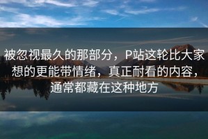 被忽视最久的那部分，P站这轮比大家想的更能带情绪，真正耐看的内容，通常都藏在这种地方