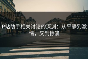 P站助手相关讨论的深渊：从平静到激情，又到惊涌