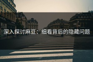 深入探讨麻豆：细看背后的隐藏问题