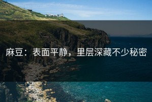 麻豆：表面平静，里层深藏不少秘密
