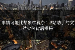 事情可能比想象中复杂：P站助手的突然火热背后探秘