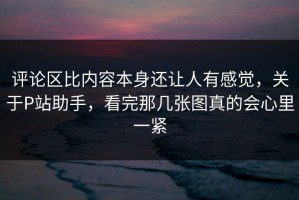 评论区比内容本身还让人有感觉，关于P站助手，看完那几张图真的会心里一紧