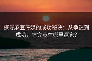 探寻麻豆传媒的成功秘诀：从争议到成功，它究竟在哪里赢家？