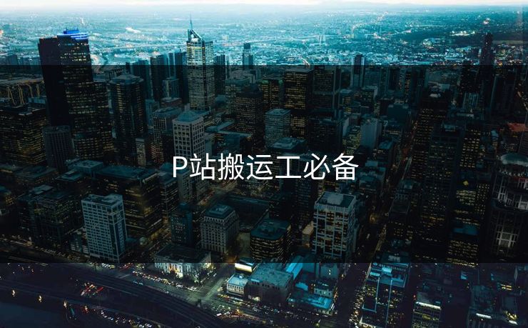 P站搬运工必备