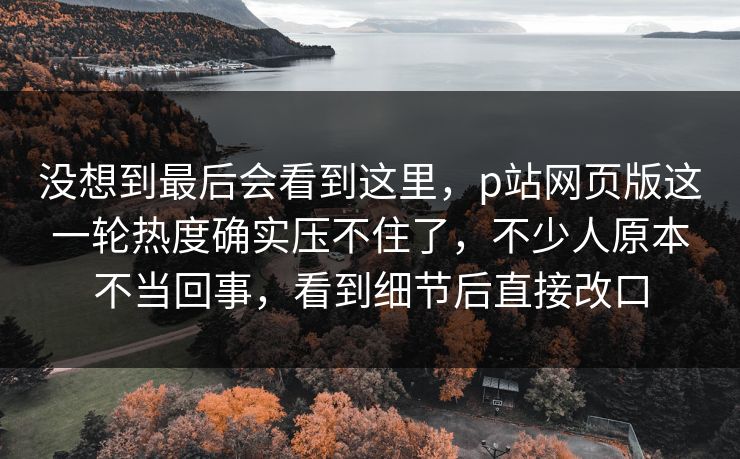 没想到最后会看到这里，p站网页版这一轮热度确实压不住了，不少人原本不当回事，看到细节后直接改口