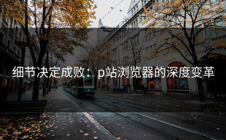 细节决定成败：p站浏览器的深度变革