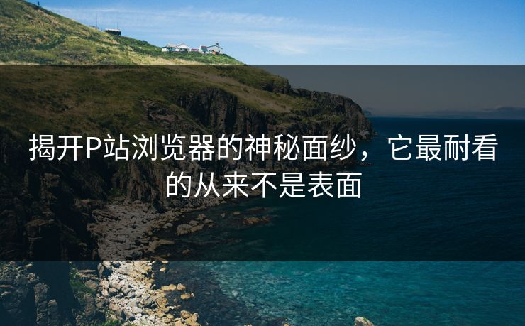 揭开P站浏览器的神秘面纱，它最耐看的从来不是表面