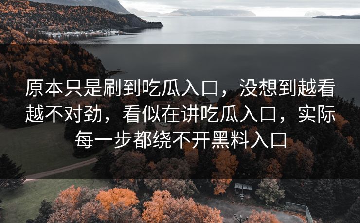 原本只是刷到吃瓜入口，没想到越看越不对劲，看似在讲吃瓜入口，实际每一步都绕不开黑料入口