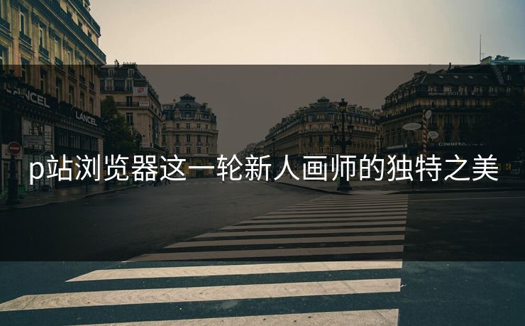 p站浏览器这一轮新人画师的独特之美