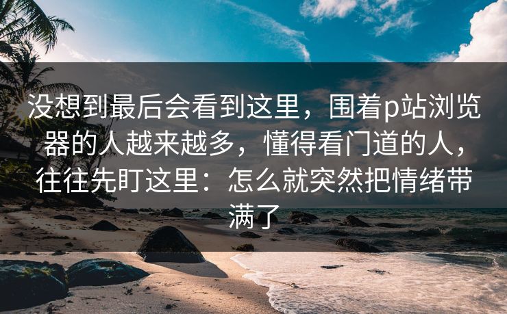 没想到最后会看到这里，围着p站浏览器的人越来越多，懂得看门道的人，往往先盯这里：怎么就突然把情绪带满了