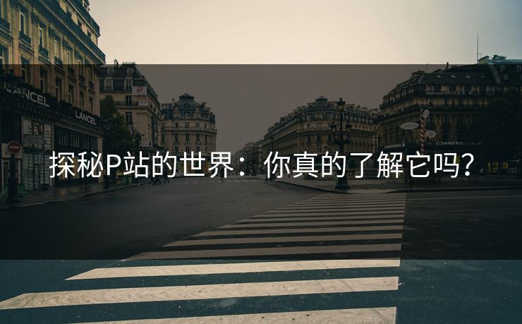 探秘P站的世界：你真的了解它吗？