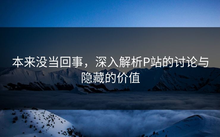 本来没当回事，深入解析P站的讨论与隐藏的价值