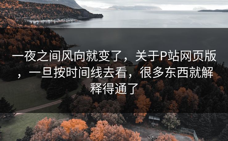 一夜之间风向就变了，关于P站网页版，一旦按时间线去看，很多东西就解释得通了