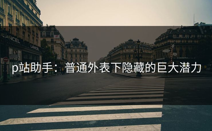 p站助手:普通外表下隐藏的巨大潜力 p站助手:普通外表下隐藏的巨大潜力