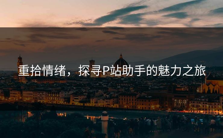 重拾情绪，探寻P站助手的魅力之旅