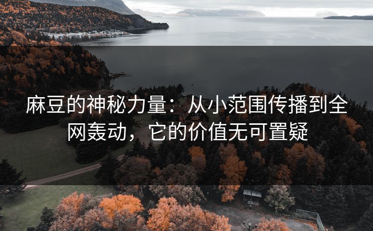 麻豆的神秘力量：从小范围传播到全网轰动，它的价值无可置疑