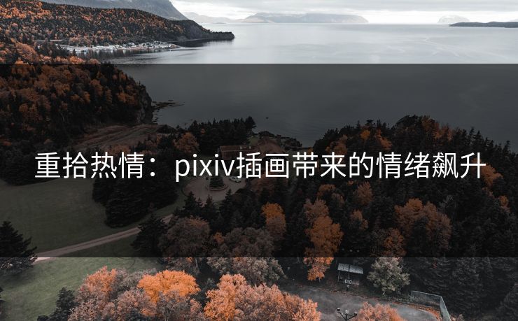 重拾热情：pixiv插画带来的情绪飙升