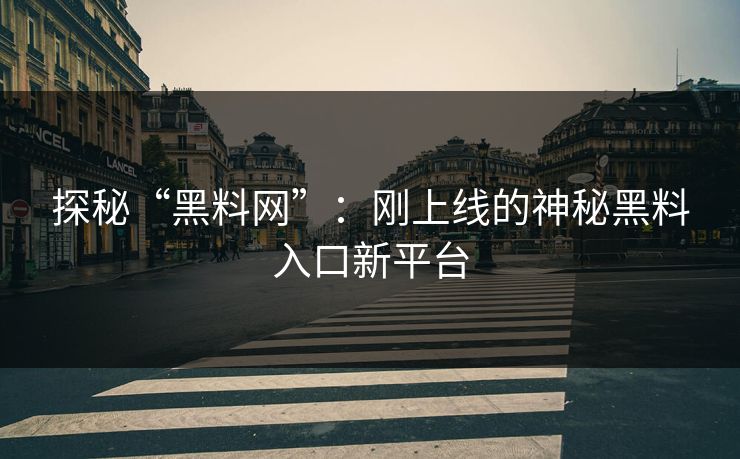 探秘“黑料网”：刚上线的神秘黑料入口新平台